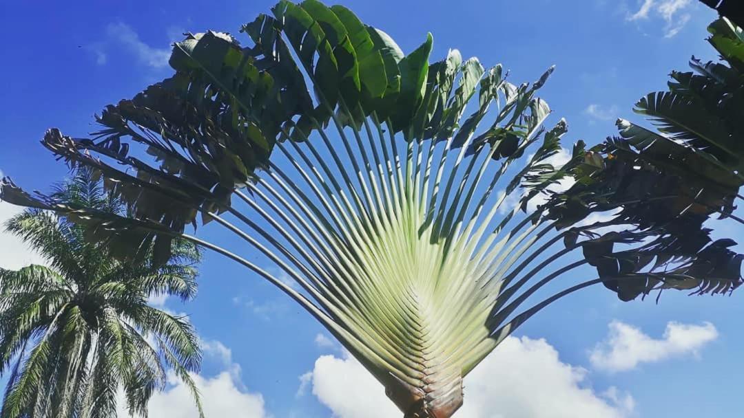Casa Valentine Pousada Itacare Bagian luar foto